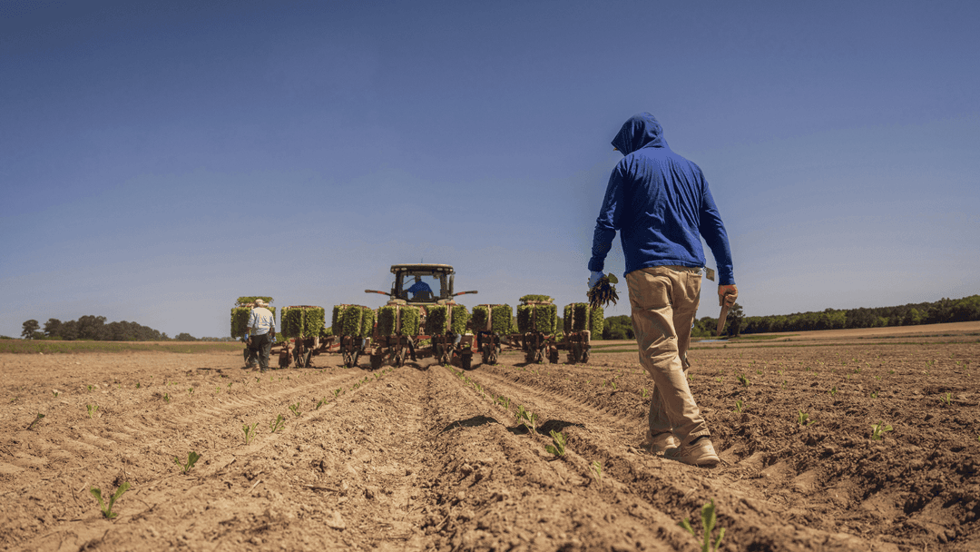 The EU's Best Communicator Right Now Is a Farmer With a Tractor and a Grievance. Here's What That Should Teach Us.